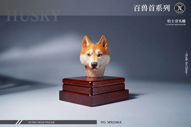 1/6 Head Husky Aㅤ – Mos Toys – ActionFigureBrasil