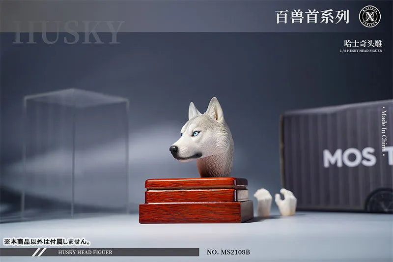 1/6 Head Husky Bㅤ – Mos Toys – ActionFigureBrasil