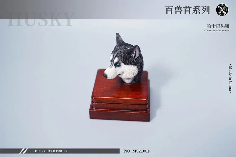 1/6 Head Husky Dㅤ – Mos Toys – ActionFigureBrasil