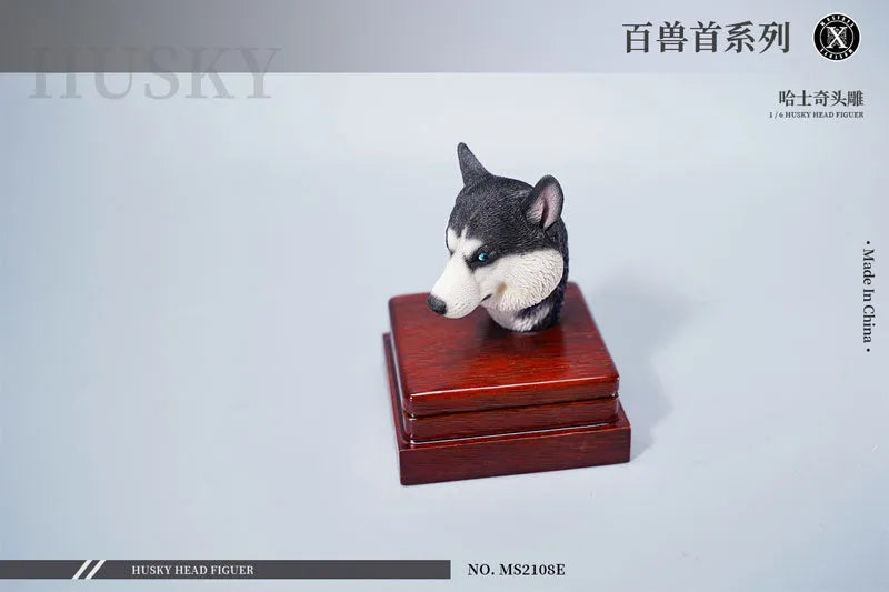 1/6 Head Husky Eㅤ – Mos Toys – ActionFigureBrasil
