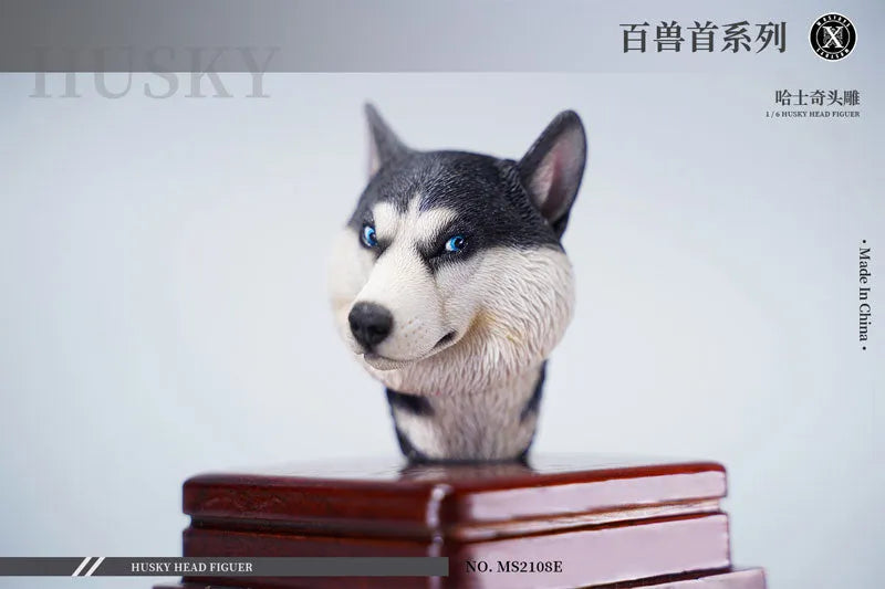 1/6 Head Husky Eㅤ – Mos Toys – ActionFigureBrasil
