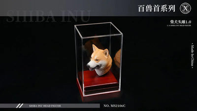 1/6 Head Shiba Inu Cㅤ – Mos Toys – ActionFigureBrasil — ângulo diferente