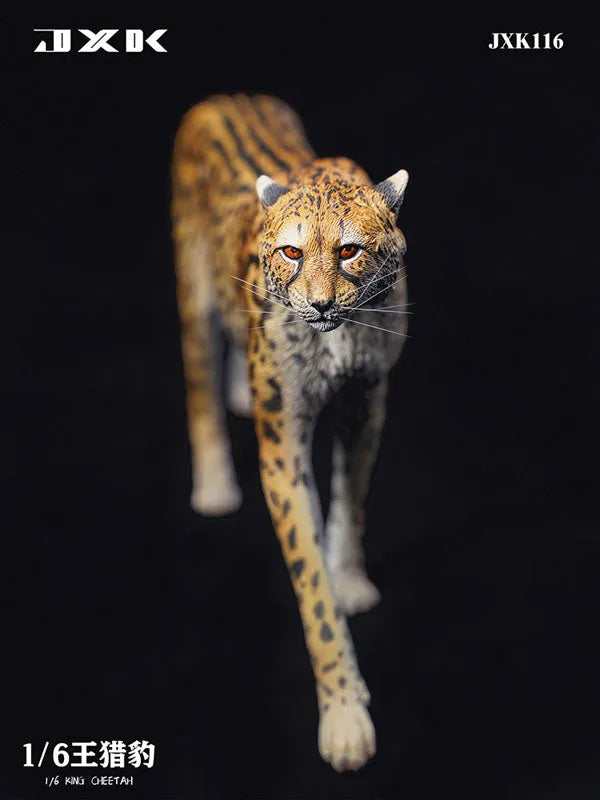 1/6 King Cheetahㅤ – JXK Studio – ActionFigureBrasil