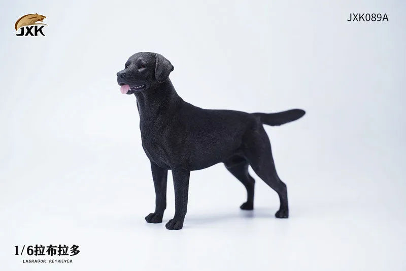 1/6 Labrador Aㅤ – JXK Studio – ActionFigureBrasil