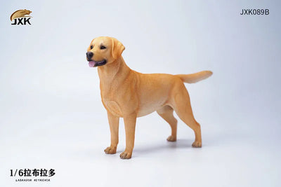 1/6 Labrador Bㅤ – JXK Studio – ActionFigureBrasil
