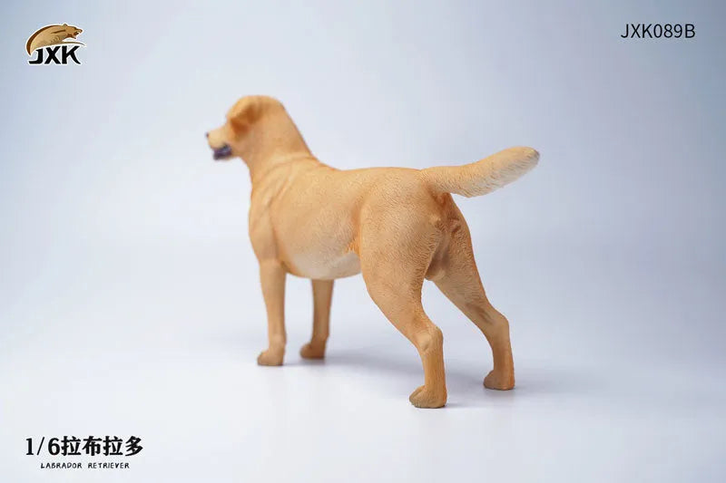 1/6 Labrador Bㅤ – JXK Studio – ActionFigureBrasil