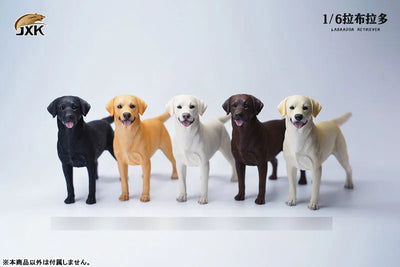 1/6 Labrador Bㅤ – JXK Studio – ActionFigureBrasil — close