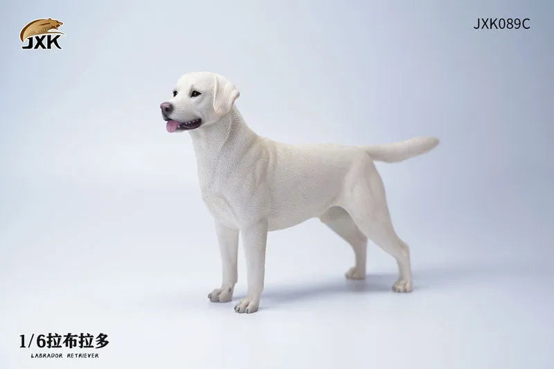 1/6 Labrador Cㅤ – JXK Studio – ActionFigureBrasil