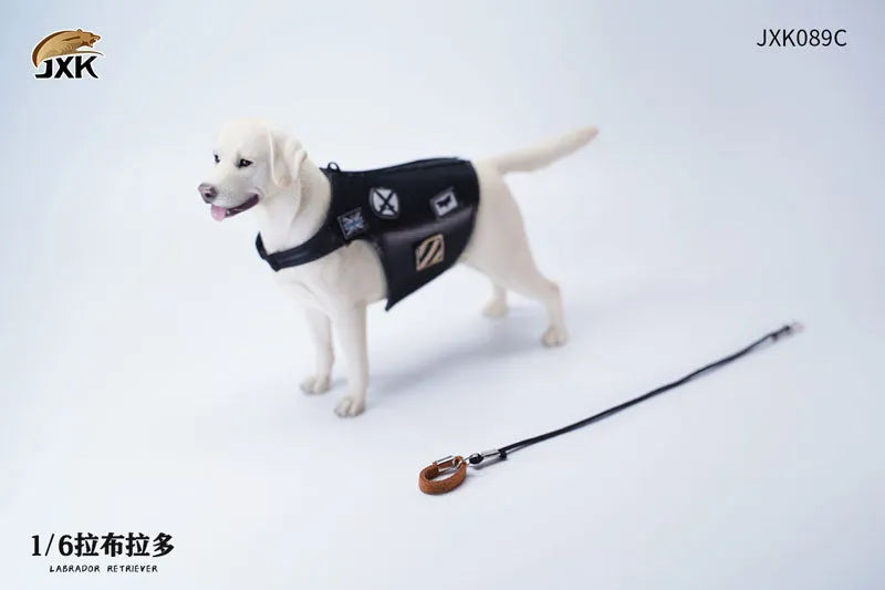 1/6 Labrador Cㅤ – JXK Studio – ActionFigureBrasil