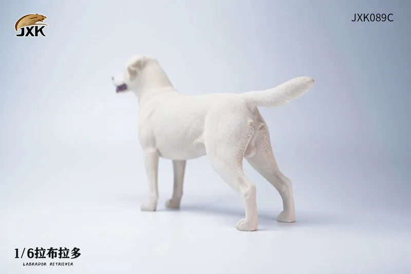 1/6 Labrador Cㅤ – JXK Studio – ActionFigureBrasil