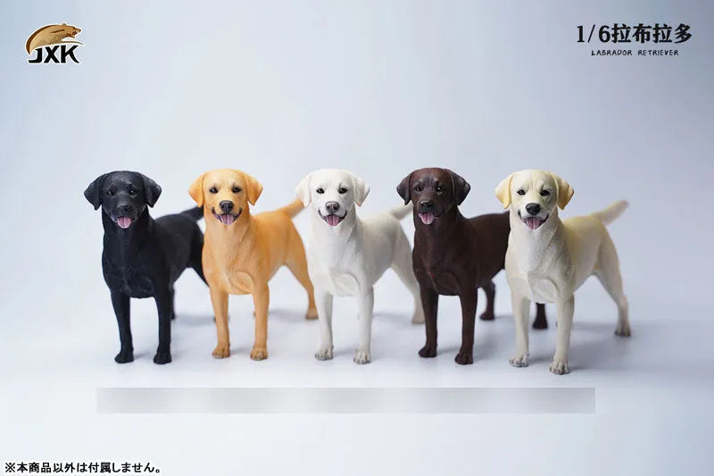 1/6 Labrador Cㅤ – JXK Studio – ActionFigureBrasil