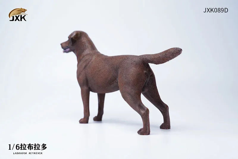 1/6 Labrador Dㅤ – JXK Studio – ActionFigureBrasil