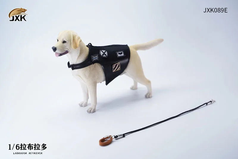 1/6 Labrador Eㅤ – JXK Studio – ActionFigureBrasil
