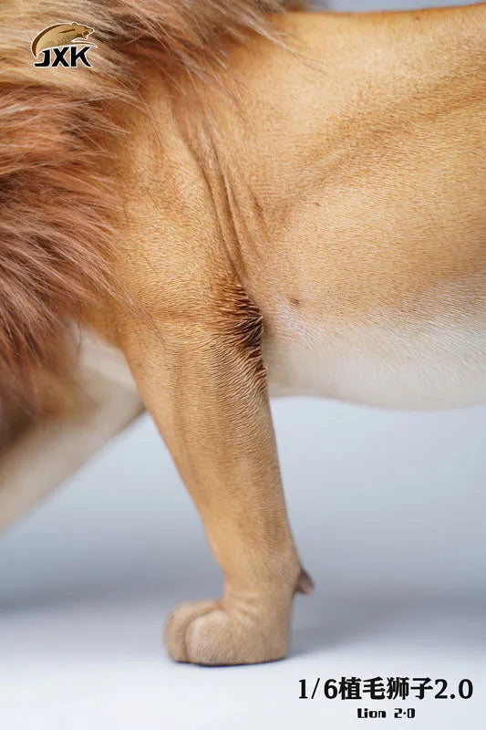 1/6 Lion 2.0 Aㅤ – JXK Studio – ActionFigureBrasil