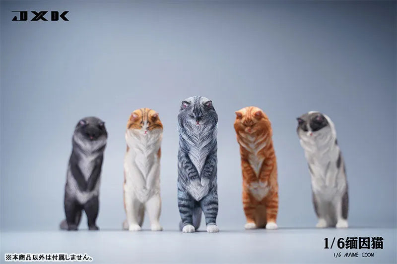 1/6 Maine Coon Aㅤ – JXK Studio – ActionFigureBrasil