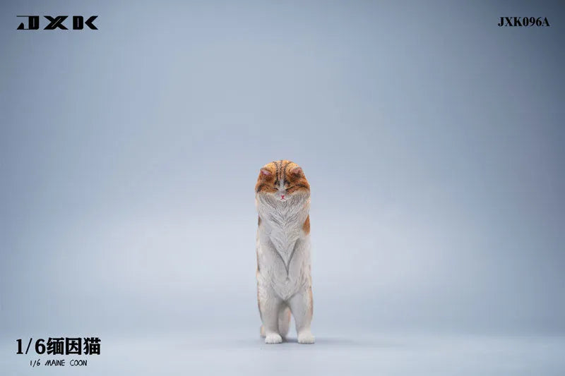 1/6 Maine Coon Aㅤ – JXK Studio – ActionFigureBrasil