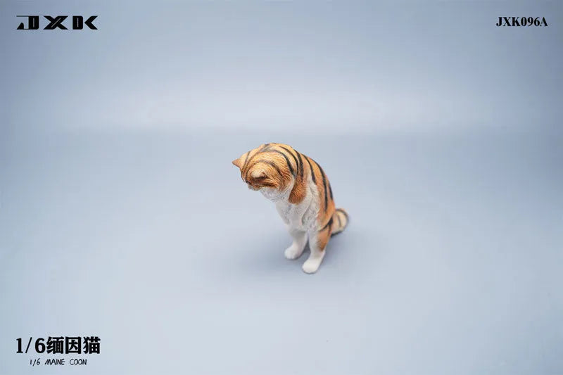 1/6 Maine Coon Aㅤ – JXK Studio – ActionFigureBrasil