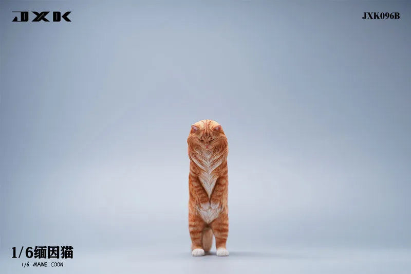1/6 Maine Coon Bㅤ – JXK Studio – ActionFigureBrasil