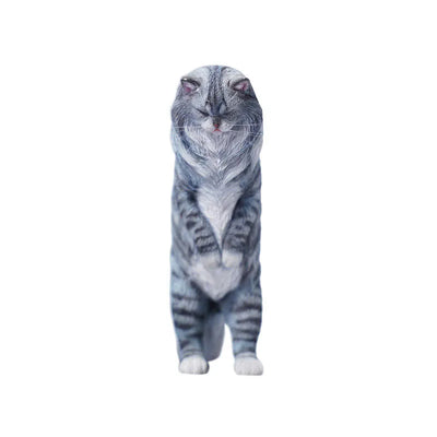 1/6 Maine Coon Cㅤ – JXK Studio – ActionFigureBrasil