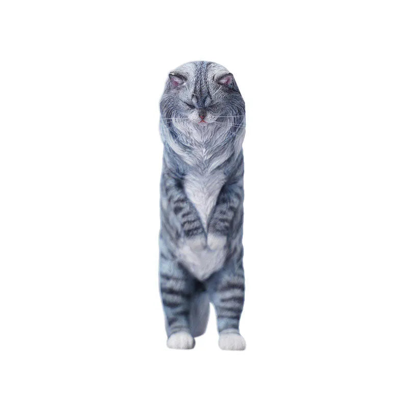 1/6 Maine Coon Cㅤ – JXK Studio – ActionFigureBrasil