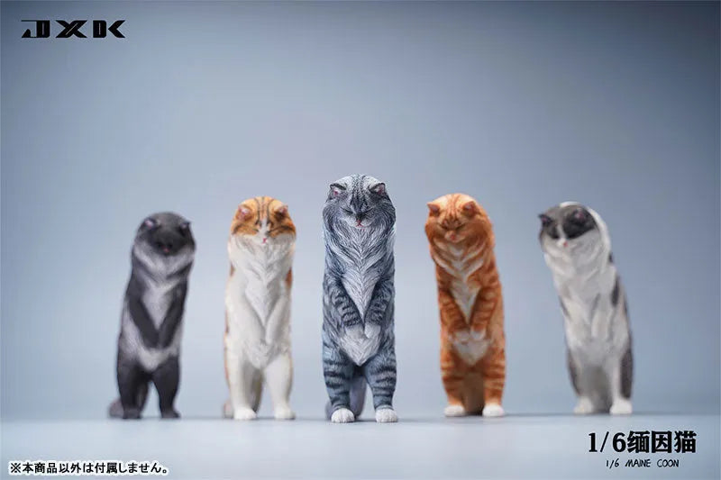 1/6 Maine Coon Dㅤ – JXK Studio – ActionFigureBrasil