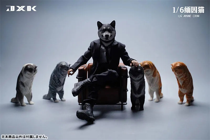 1/6 Maine Coon Eㅤ – JXK Studio – ActionFigureBrasil