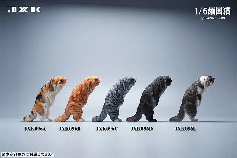1/6 Maine Coon Eㅤ – JXK Studio – ActionFigureBrasil