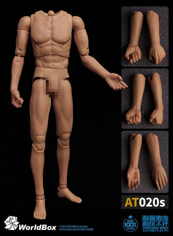 1/6 Male Body Universal Specifications Combined Forearmㅤ – WorldBox – ActionFigureBrasil