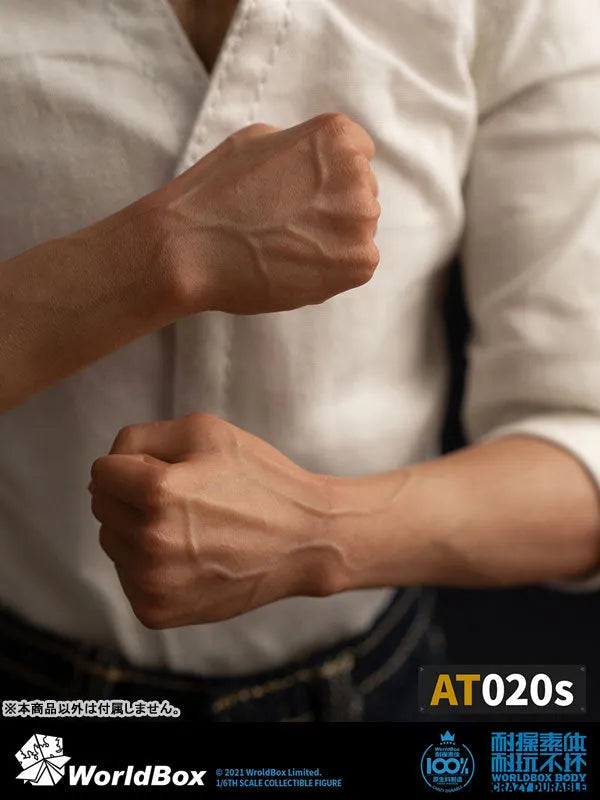 1/6 Male Body Universal Specifications Combined Forearmㅤ – WorldBox – ActionFigureBrasil