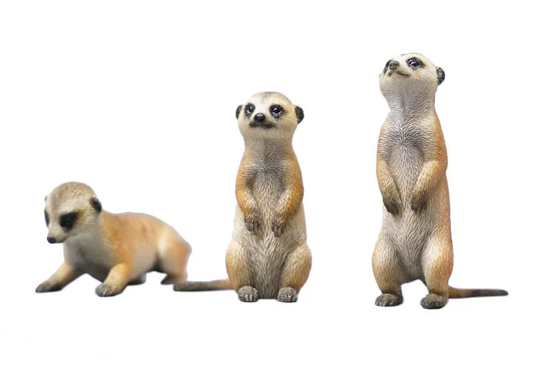 1/6 Meerkatㅤ – JXK Studio – ActionFigureBrasil