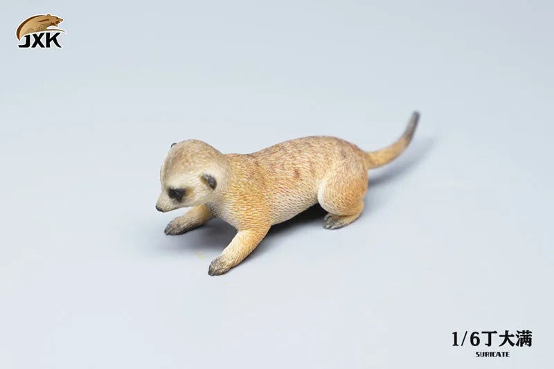 1/6 Meerkatㅤ – JXK Studio – ActionFigureBrasil
