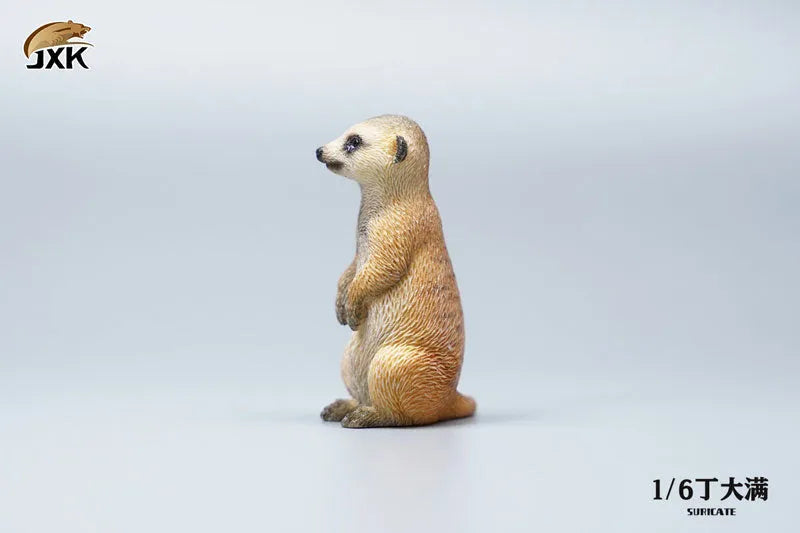 1/6 Meerkatㅤ – JXK Studio – ActionFigureBrasil