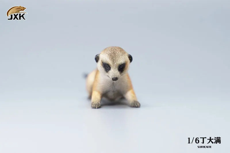 1/6 Meerkatㅤ – JXK Studio – ActionFigureBrasil