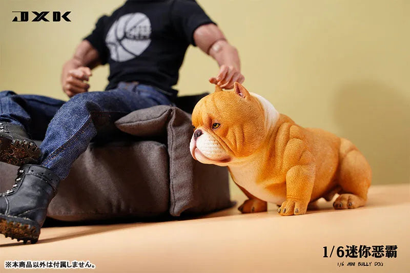 1/6 Mini Bully Dog Aㅤ – JXK Studio – ActionFigureBrasil
