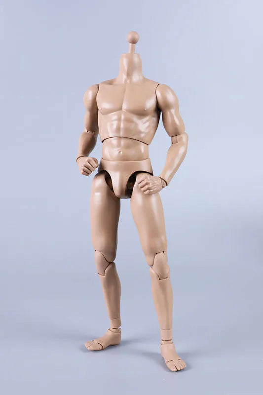 1/6 New Type Muscular Male Body (Plain)ㅤ – Coomodel – ActionFigureBrasil