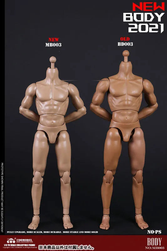1/6 New Type Muscular Male Body (Plain)ㅤ – Coomodel – ActionFigureBrasil