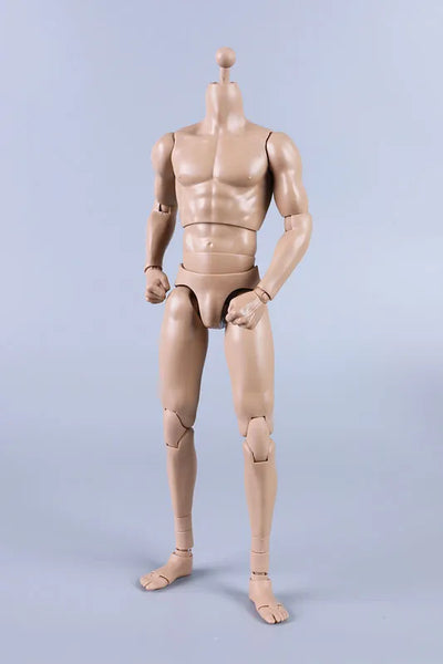 1/6 New Type Tall Muscular Male Body (Plain)ㅤ – Coomodel – ActionFigureBrasil — detalhe do produto