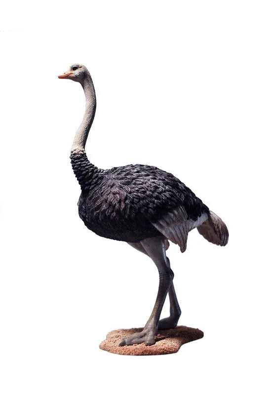 1/6 Ostrich A1ㅤ – JXK Studio – ActionFigureBrasil