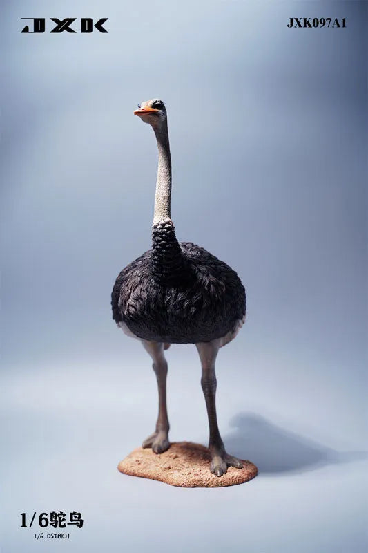 1/6 Ostrich A1ㅤ – JXK Studio – ActionFigureBrasil