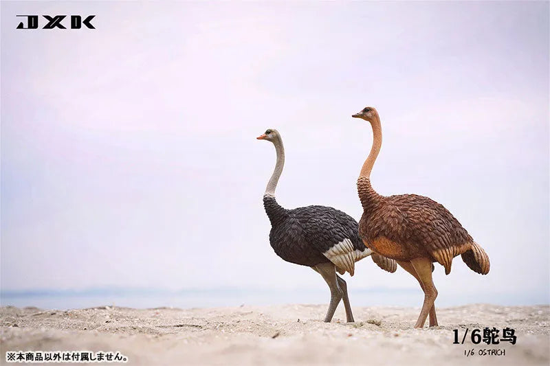 1/6 Ostrich A1ㅤ – JXK Studio – ActionFigureBrasil