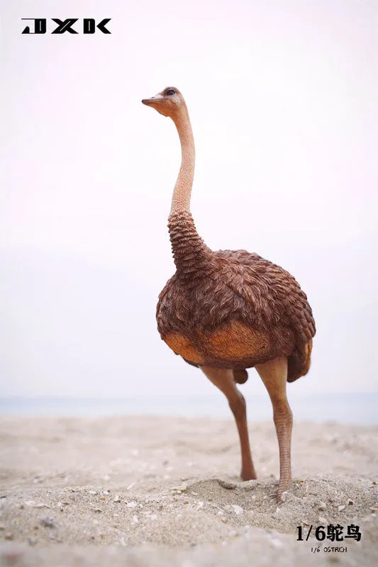 1/6 Ostrich B1ㅤ – JXK Studio – ActionFigureBrasil