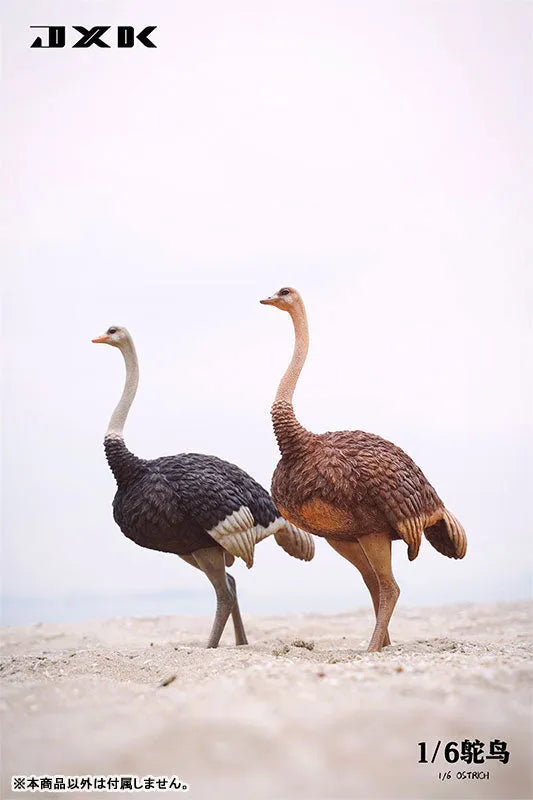 1/6 Ostrich B1ㅤ – JXK Studio – ActionFigureBrasil