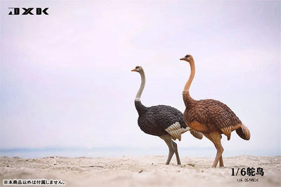 1/6 Ostrich B1ㅤ – JXK Studio – ActionFigureBrasil — embalagem