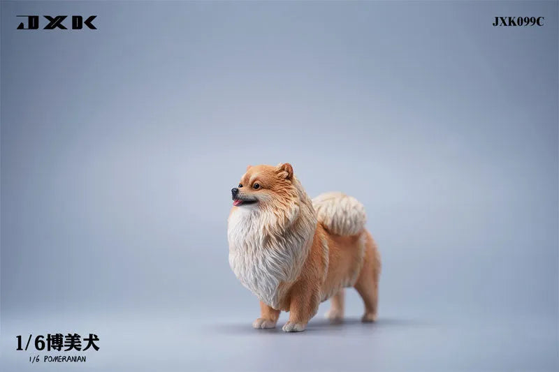 1/6 Pomeranian Cㅤ – JXK Studio – ActionFigureBrasil