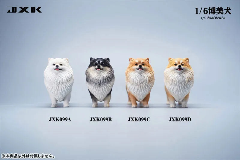 1/6 Pomeranian Cㅤ – JXK Studio – ActionFigureBrasil
