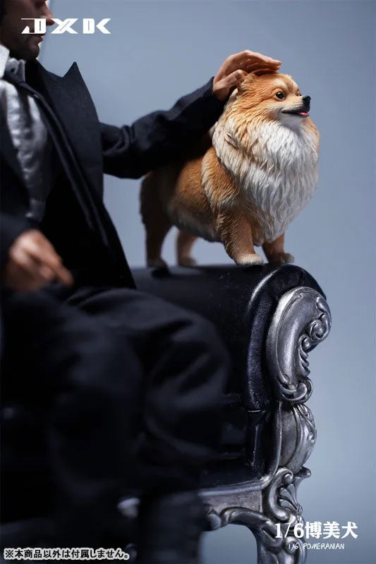 1/6 Pomeranian Cㅤ – JXK Studio – ActionFigureBrasil
