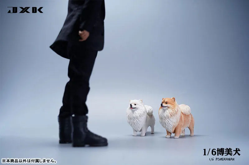 1/6 Pomeranian Cㅤ – JXK Studio – ActionFigureBrasil