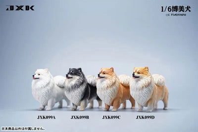 1/6 Pomeranian Cㅤ – JXK Studio – ActionFigureBrasil — ambientada