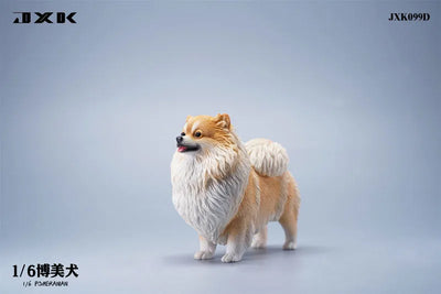 1/6 Pomeranian Dㅤ – JXK Studio – ActionFigureBrasil