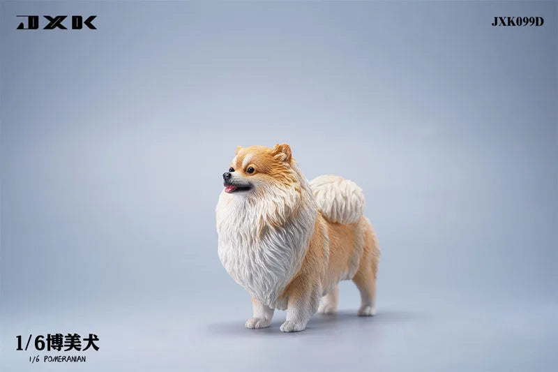 1/6 Pomeranian Dㅤ – JXK Studio – ActionFigureBrasil
